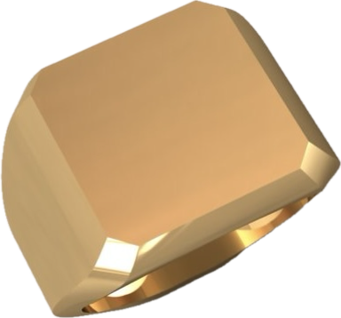 Signet Ring 15x16